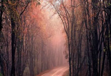 蜂蜜结晶了还能吃吗