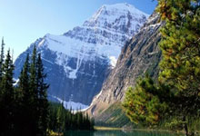 蜂蜜结晶了还能吃吗